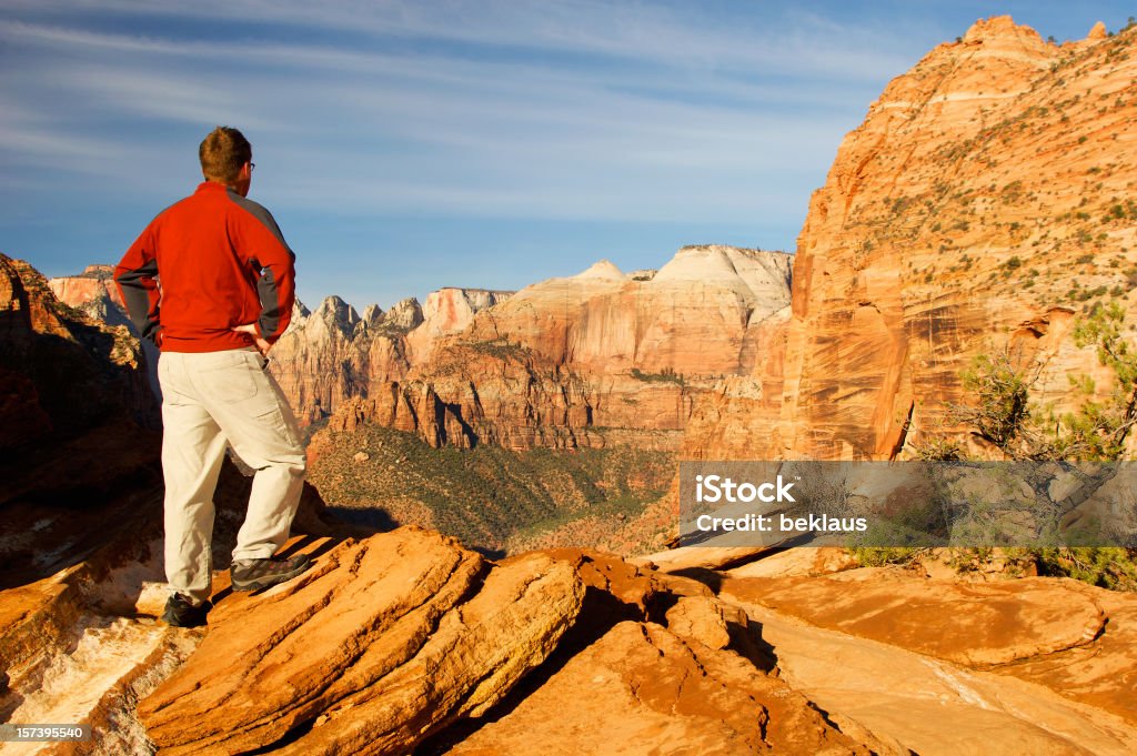 Uomo sulla parte superiore del Parco Nazionale di Zion - Foto stock royalty-free di Montagna