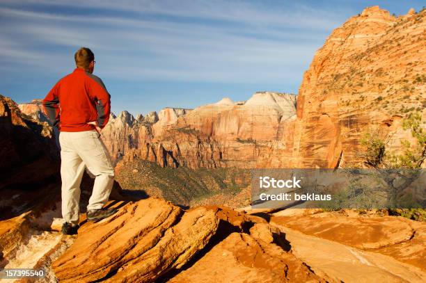 Uomo Sulla Parte Superiore Del Parco Nazionale Di Zion - Fotografie stock e altre immagini di Montagna