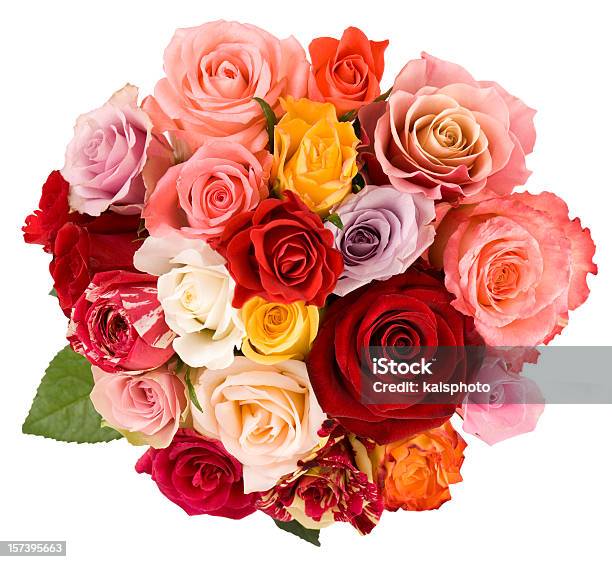 Rosas Foto de stock y más banco de imágenes de Buqué - Buqué, Rosa - Flor, Flor