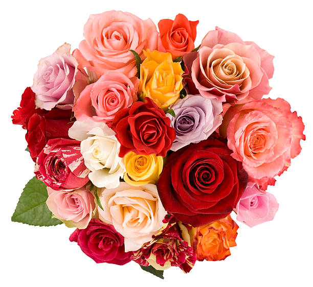 rosas - rose valentines day bouquet red - fotografias e filmes do acervo