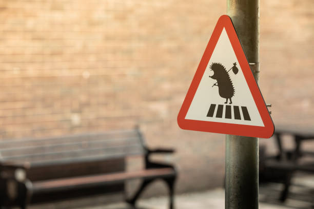 Hedgehog friendly city.