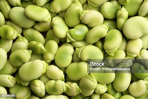 Foto de Raw Feijãofava e mais fotos de stock de Fava - Feijão - Fava - Feijão, Leguminosa, Abundância