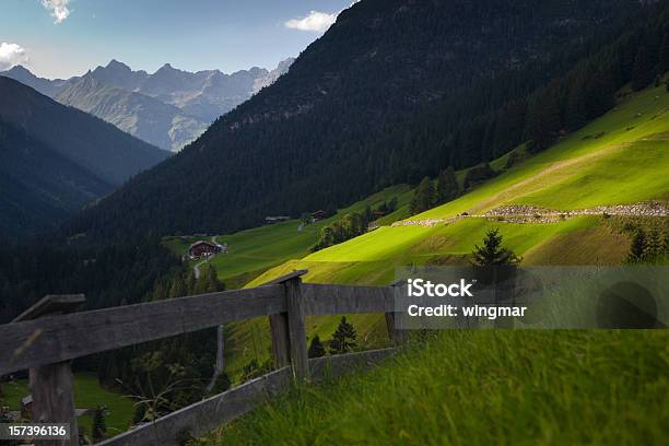 Alm Łąki - zdjęcia stockowe i więcej obrazów Alpy - Alpy, Austria, Bez ludzi