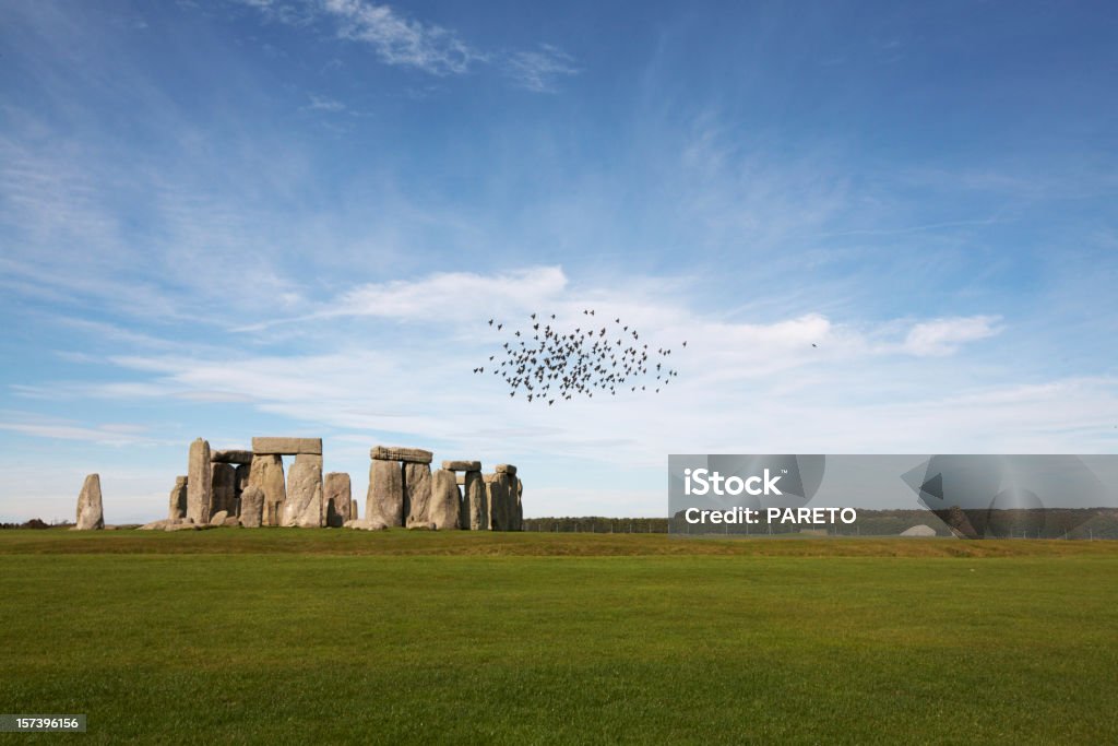 Birds over Stonehenge Birds over the massive circle of stones that make up the world famous prehistoric landmark  - Stonehenge on Salisbury Plain, Wiltshire Stonehenge Stock Photo