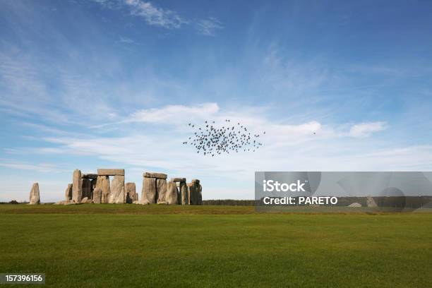 Birds Over Stonehenge Stock Photo - Download Image Now - Stonehenge, Bird, Ancient Civilization