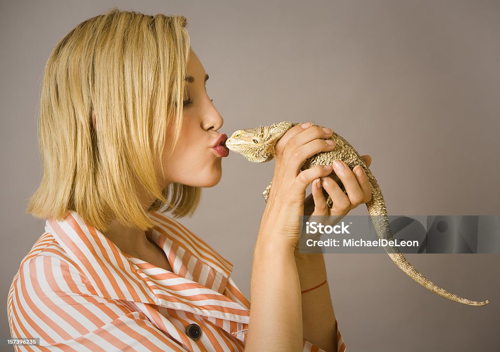 Beso the Dragon - Foto de stock de Mascota libre de derechos