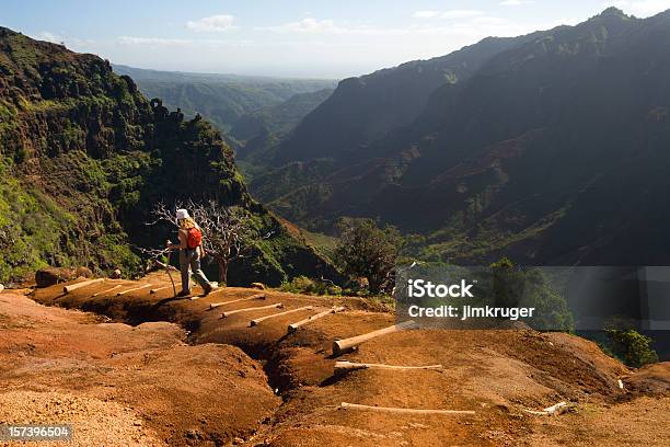 Una Donna Escursionismo Il Waimea Canyon Trail Hawaii - Fotografie stock e altre immagini di Canyon Waimea