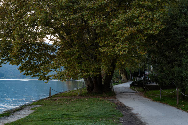 istock Lake Bled in Slovenia, autumn mood 1573965599