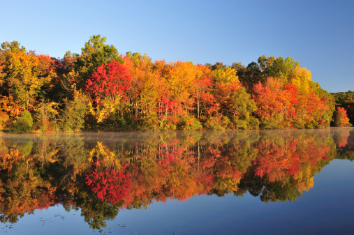 A speedboat glides across a tranquil lake surrounded by lush trees displaying their fall foliage