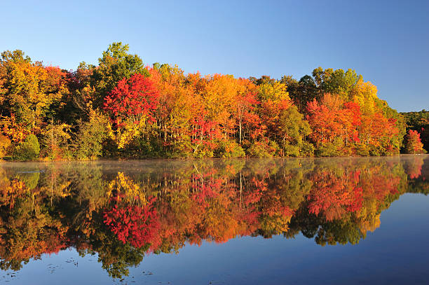 Autumn Foliage Reflection stock photo
