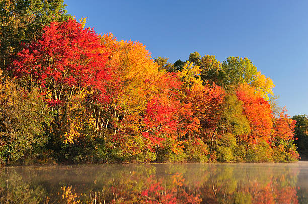 istock Colorful Autumn Foliage 157396791