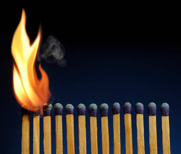 Wooden Matches Lined-up Like Fire Dominoes, About to Burn Down  lit match stock pictures, royalty-free photos & images