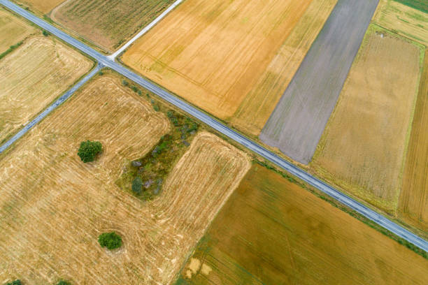 istock aerial view of a road between harvested agricultural fields 1573971968