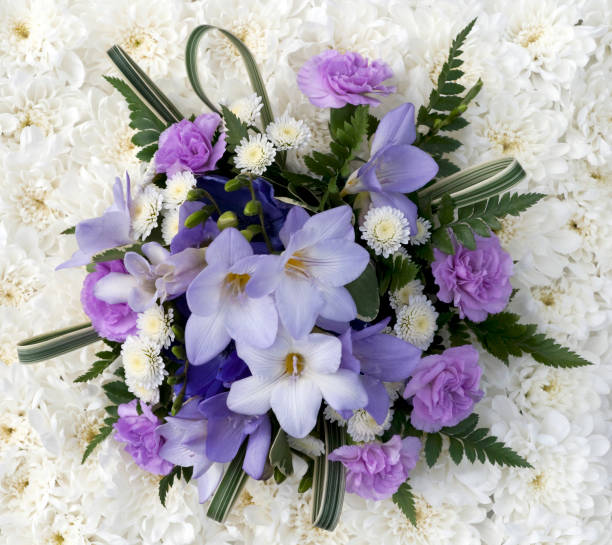 Lilac coloured flowers against a white chrysanthemum background.