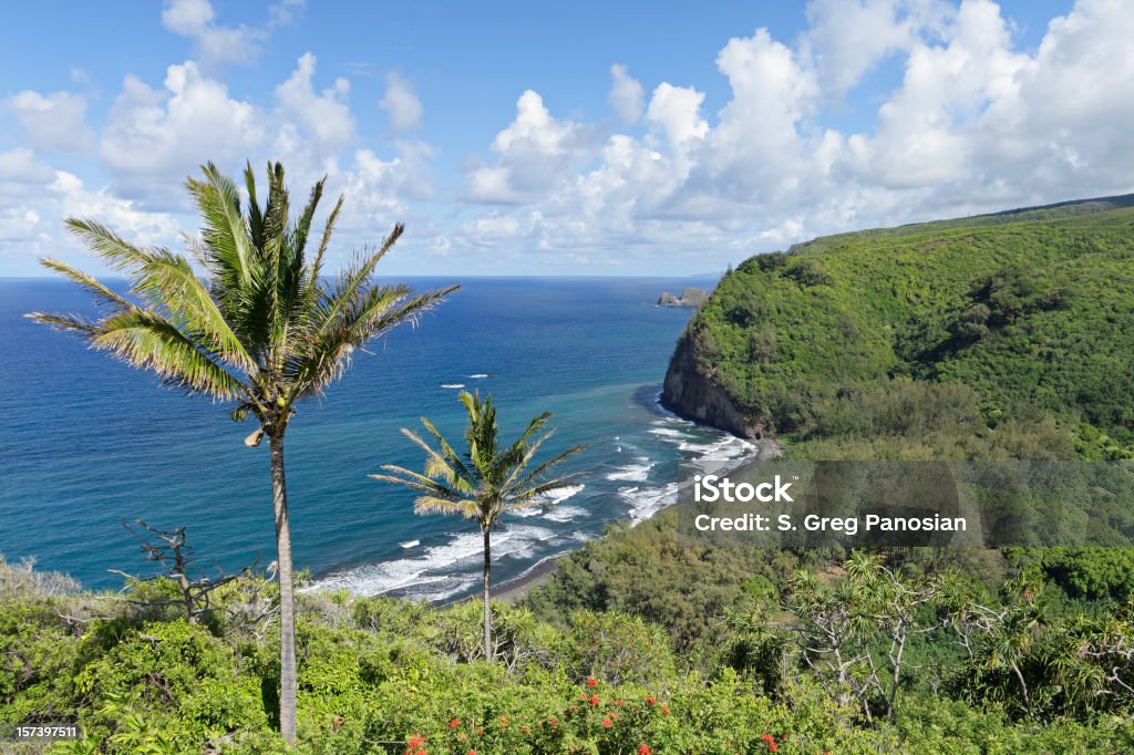 Pololu Valley  Beach Stock Photo