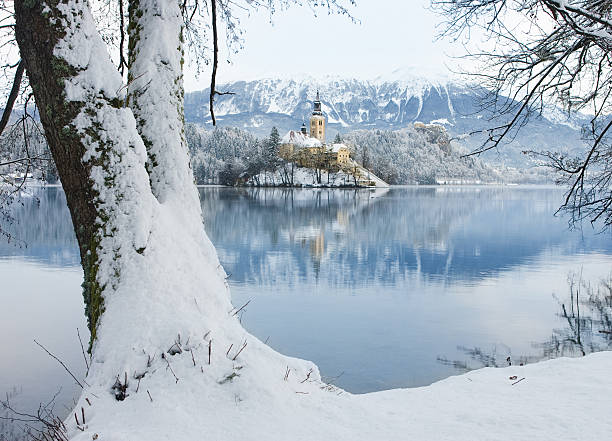 lago bled - castle slovenia winter snow fotografías e imágenes de stock