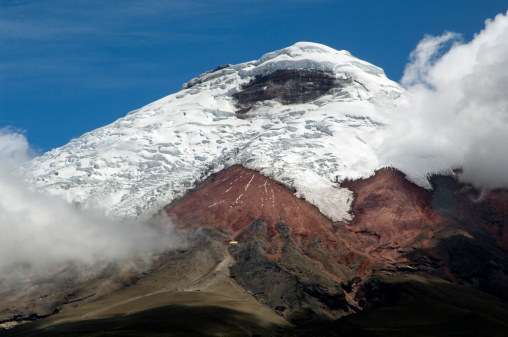 Cotopaxi volcano in the center of the photo with blue sky and paramo vegetation in the foreground