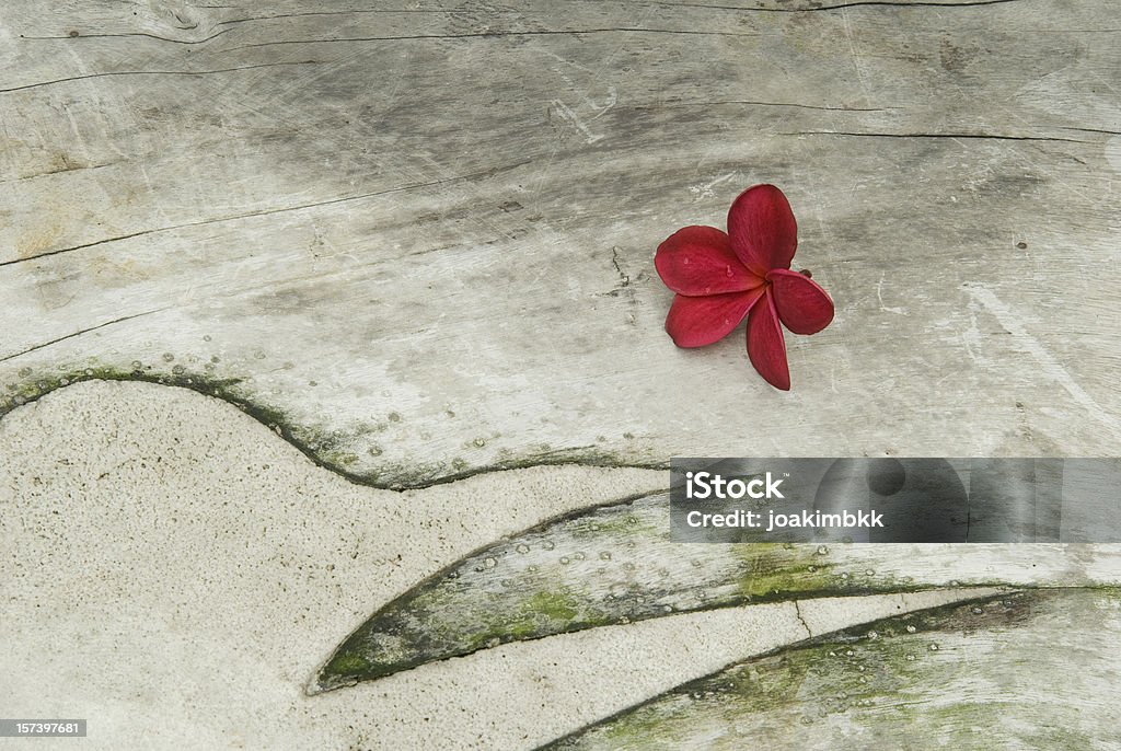 Der Vogel und Blume - Lizenzfrei Abstrakt Stock-Foto