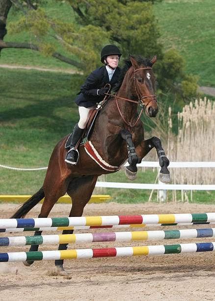istock Horse and Rider in Mid Air 157397742