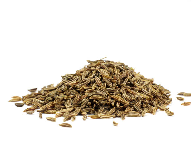 caraway isolated on white  caraway seed stock pictures, royalty-free photos & images