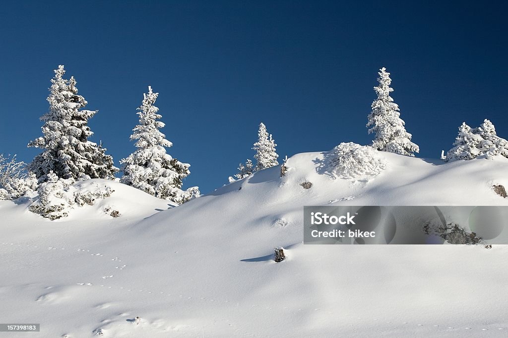 Идиллический зимний - Стоковые фото Белый роялти-фри