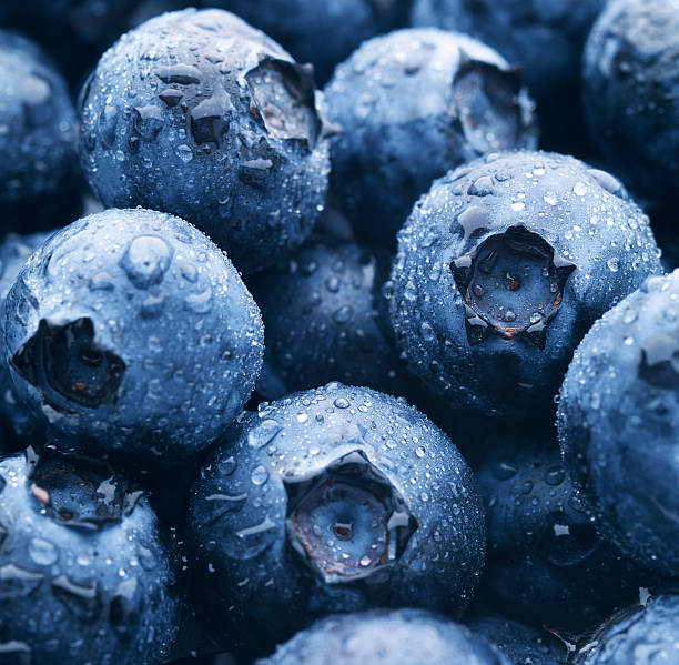 istock Close up of blueberries with condensation 157398539