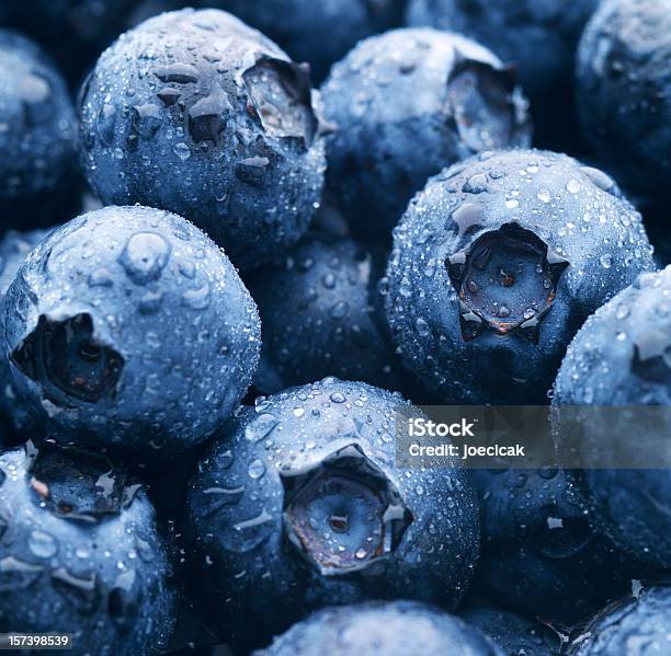 Blueberries Крупный — стоковые фотографии и другие картинки Голубика - Голубика, Без людей, Горизонтальный