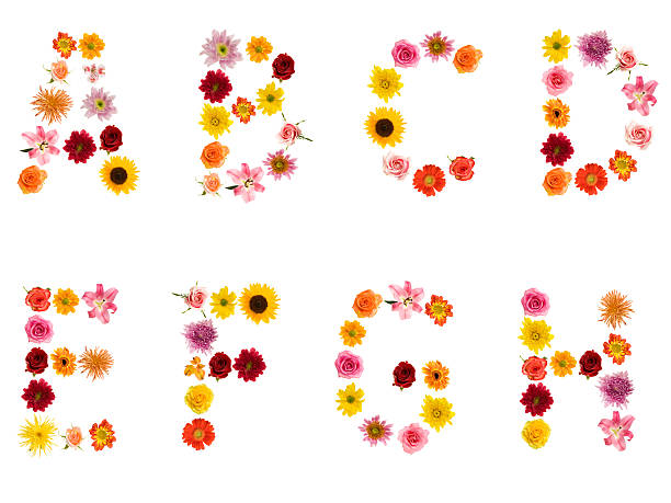 Xxl Flower Alphabet Stock Photo - Download Image Now - Flower, Alphabet,  Text - iStock