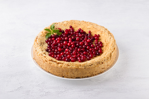 Royal curd cheesecake decorated with cranberries and mint on a light gray background.