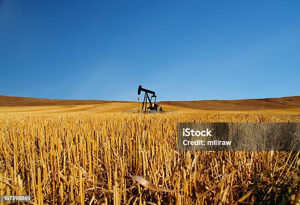 Nero E Olio Pumpjack Con Cielo Blu - Fotografie stock e altre immagini di Pozzo petrolifero - Pozzo petrolifero, Alberta, Pompa di estrazione petrolifera