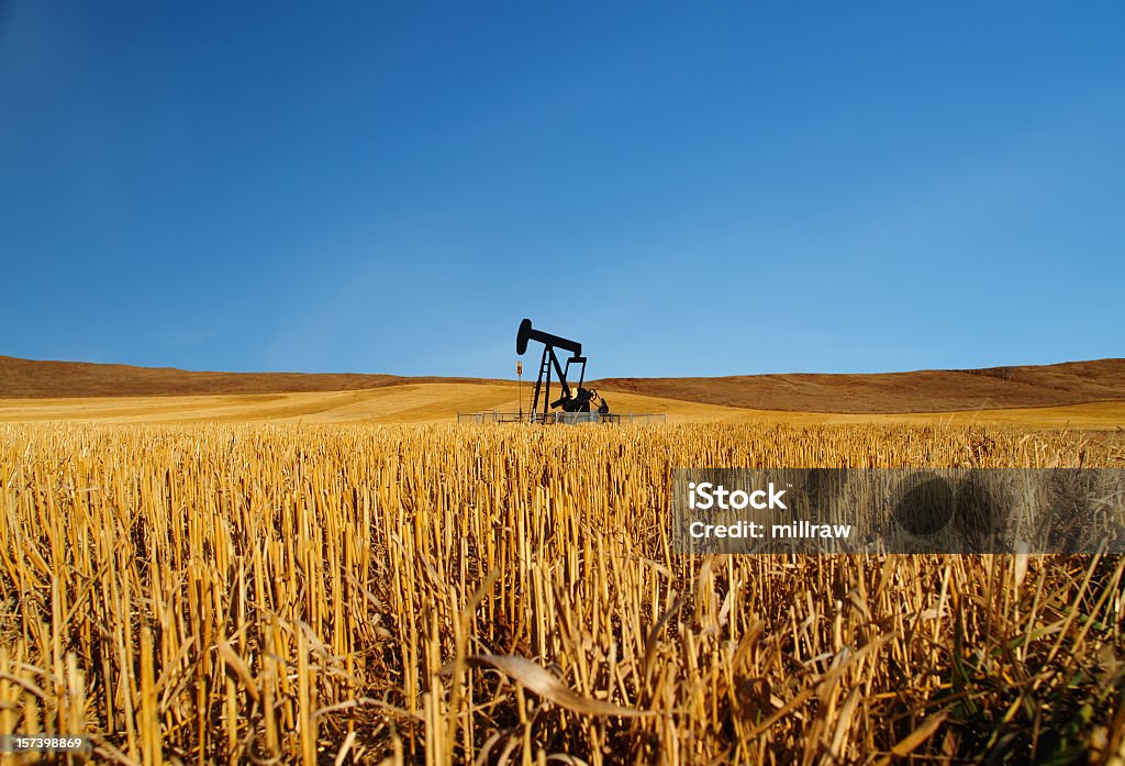 Black Oil Well Pumpjack With Blue Sky Black oil pumpjack works in farmer's field.  Soft warm sun illuminates late fall growth.  Alberta Canada.  Iconic symbol of the oil and gas industry. Part of a series of similar pictures. Oil Well Stock Photo