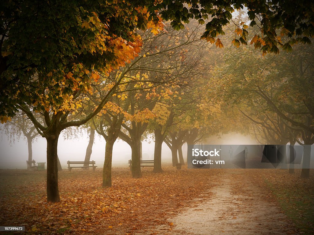 Dos personas caminando en un parque otoño en la niebla de la mañana - Foto de stock de Noviembre libre de derechos