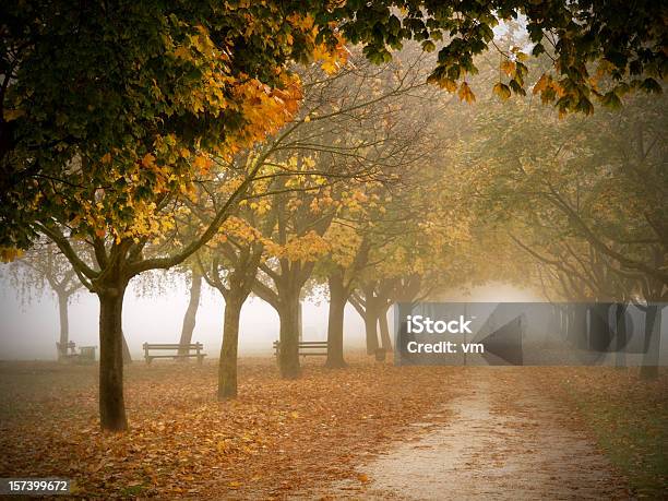 Dos Personas Caminando En Un Parque Otoño En La Niebla De La Mañana Foto de stock y más banco de imágenes de Noviembre