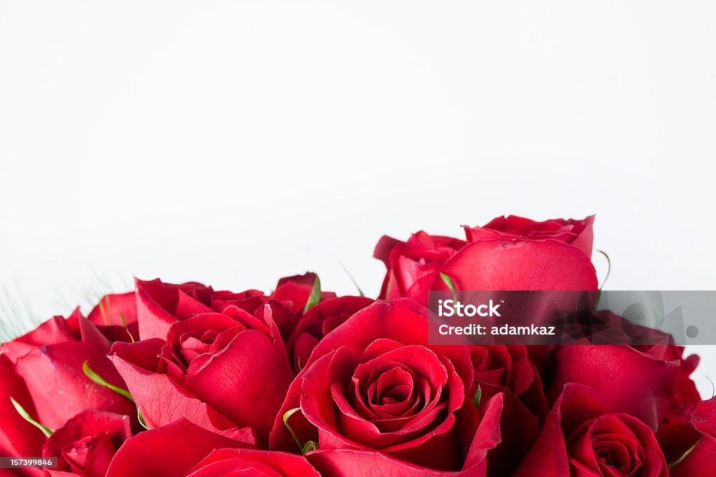 Bouquet of Roses  Arrangement Stock Photo