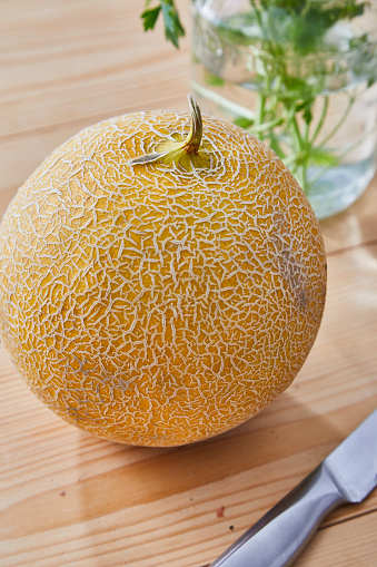 Fresh whole Melon fruit on a wooden kitchen table, representing a wellbeing and a healthy lifestyle