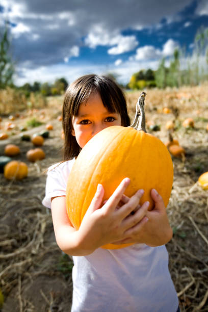 istock Little Girl in Pumpkin Patch 157400018