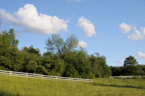 istock Summer Landscape, Michigan 157400059