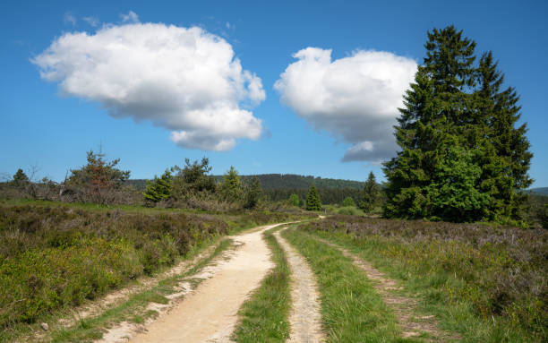 istock Landscape of Rothaar Mountains, Sauerland, Germany 1574001173