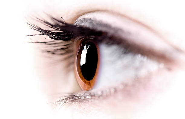 Close-up image of side view of brown eye and eyelashes stock photo