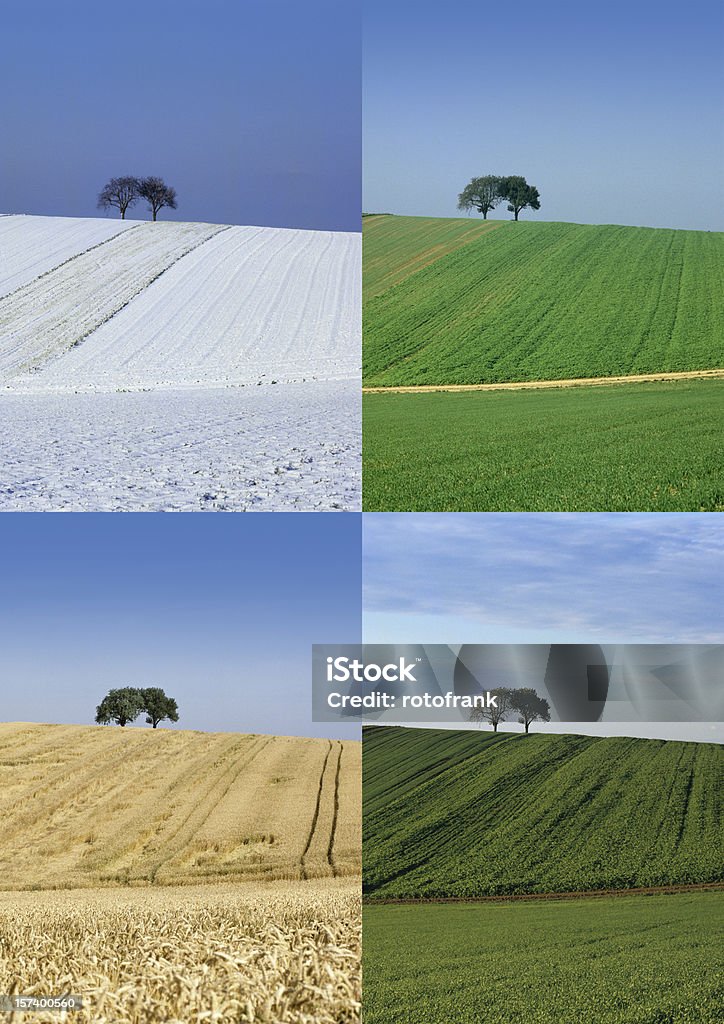Four Seasons (Bildgröße XXL erhältlich - Lizenzfrei Baum Stock-Foto