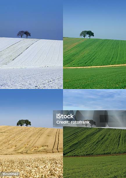 Four Seasons Rozmiar Obrazu Xxl - zdjęcia stockowe i więcej obrazów Czas - Czas, Drzewo, Fotografika