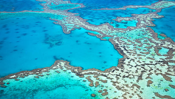 Great Barrier Reef Aerial view of the Great Barrier Reef in Australia great barrier reef photos stock pictures, royalty-free photos & images