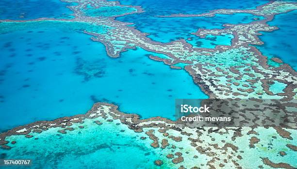 Great Barrier Reef Stock Photo - Download Image Now - Great Barrier Reef, Reef, Aerial View