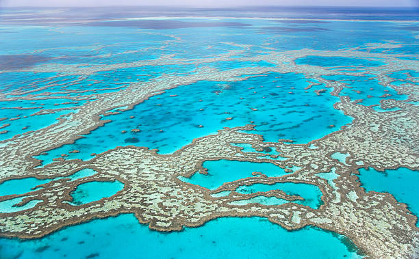 Great Barrier Reef with blue ocean Aerial view of the Great Barrier Reef in Australia great barrier reef photos stock pictures, royalty-free photos & images