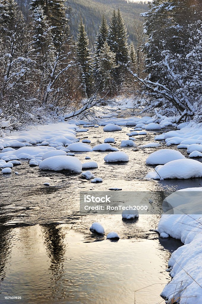 Winter Stream  British Columbia Stock Photo