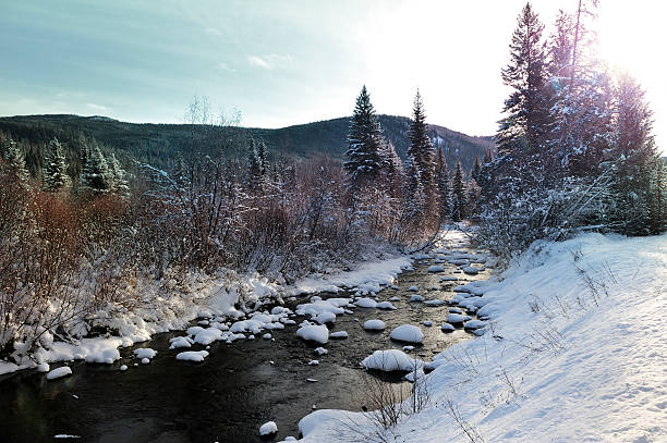 Cold Stream  brightly lit winter season rock stock pictures, royalty-free photos & images