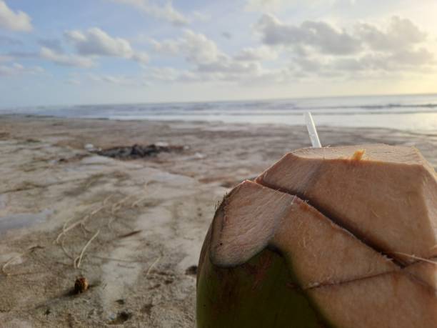 istock Drinking a coconut on the beach in the afternoon 1574022037