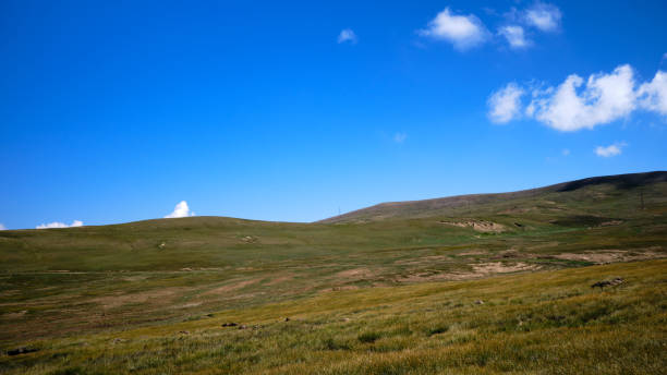 istock Highland valley in Tien Shan mountains 1574023233