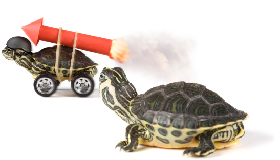 Turtle on wheels with a rocket at his back,, another one watching him
