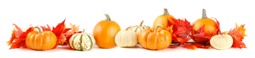 A cornucopia of fruits and vegetables and a long row of pumpkins in front of a brown background. The pumpkins are framed by bundled corn stalks.